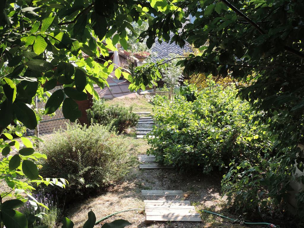 La Demeure Des Elfes Bed & Breakfast Albinen Dış mekan fotoğraf